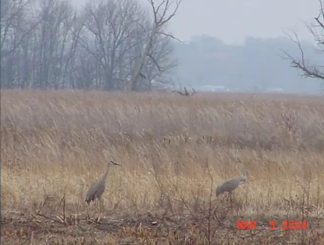 Fox River / Chain O' Lakes, Fox Waterway, IL