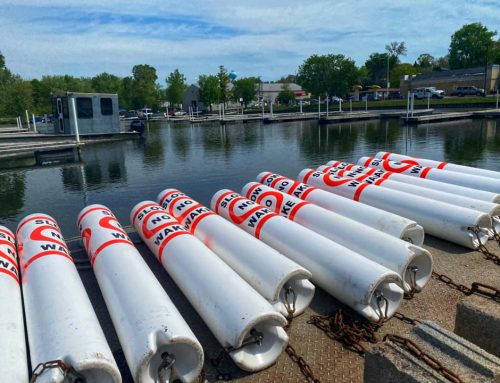When do buoys get placed and removed?