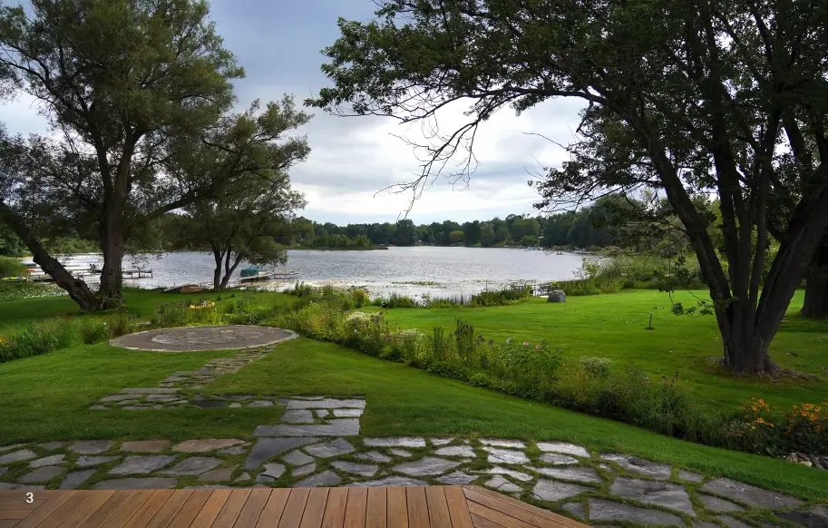 Shoreline Vegetation